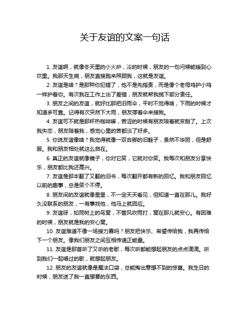 关于友谊的文案一句话