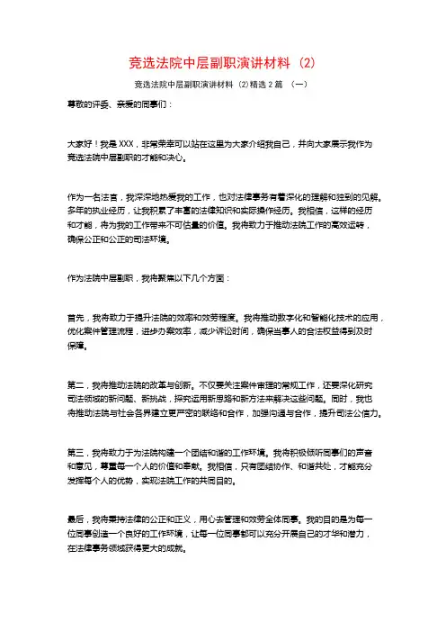 竞选法院中层副职演讲材料2篇