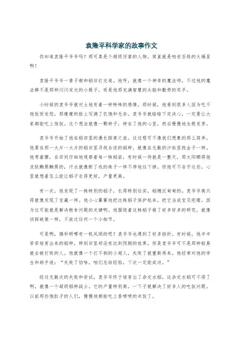 袁隆平科学家的故事作文