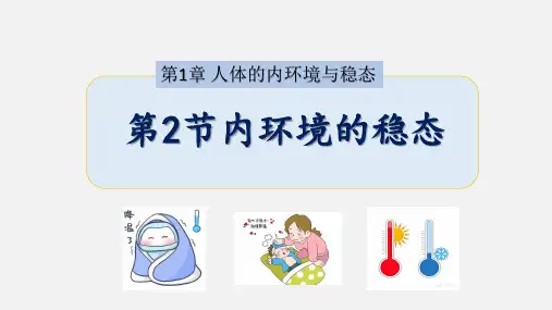 内环境的稳态ppt课件