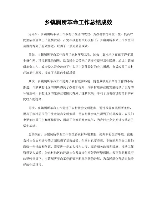 乡镇厕所革命工作总结成效