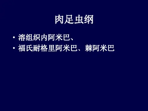 寄生虫总结
