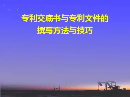 专利撰写方法与技巧