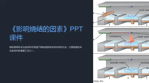 《影响烧结的因素》课件