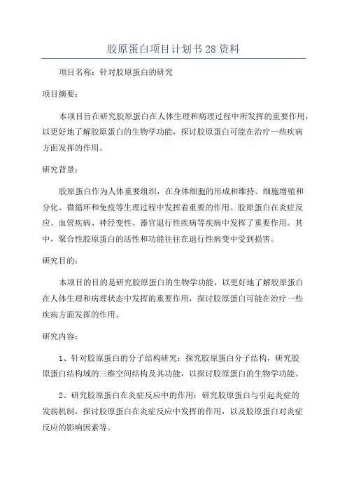 胶原蛋白项目计划书28资料