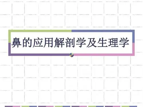 鼻的应用解剖学和生理学