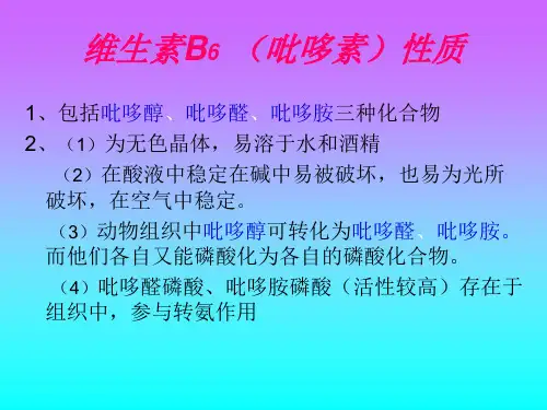 维生素B6B