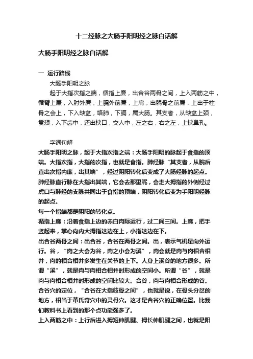 十二经脉之大肠手阳明经之脉白话解