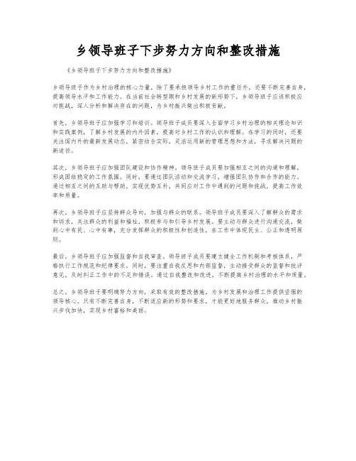 乡领导班子下步努力方向和整改措施