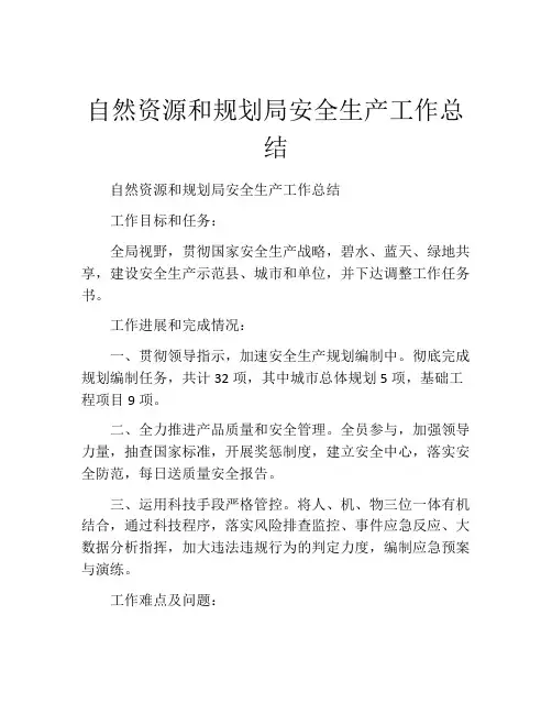自然资源和规划局安全生产工作总结