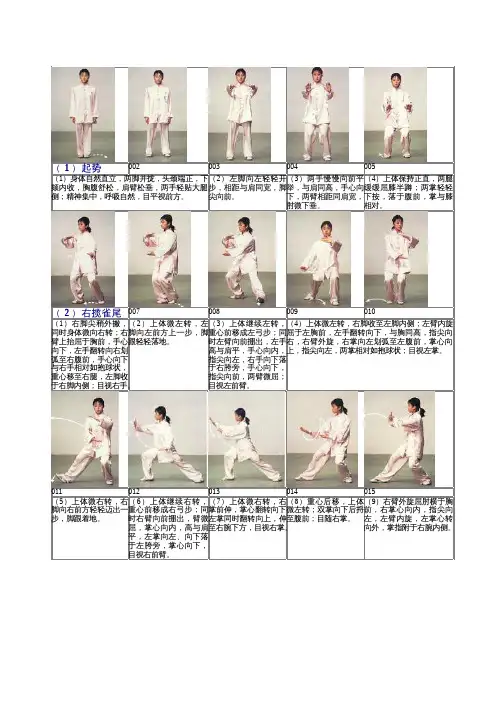 42式太极拳拳谱