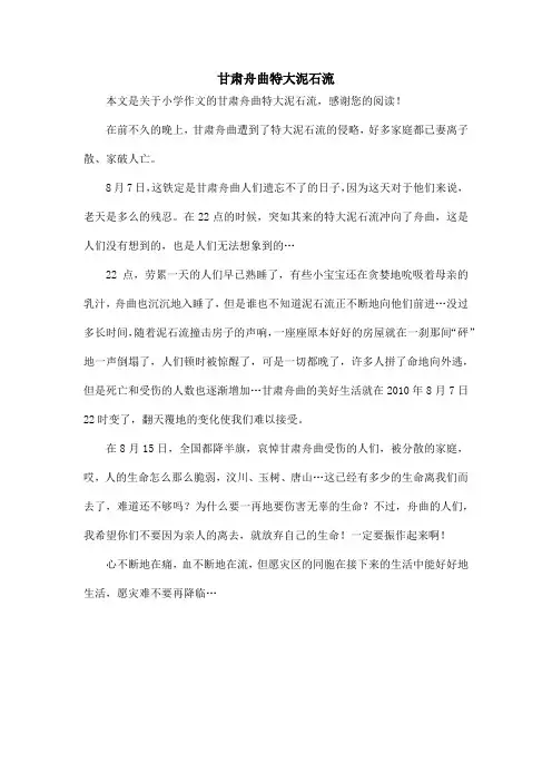 甘肃舟曲特大泥石流_小学作文