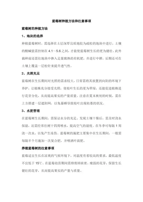 蓝莓树种植方法和注意事项