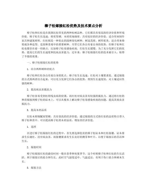 樟子松嫁接红松优势及技术要点分析