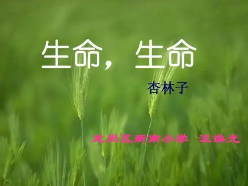 《生命,生命》课件