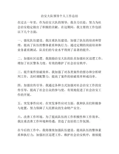 治安大队领导个人工作总结