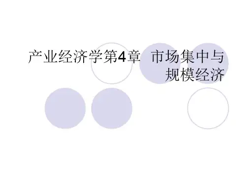 产业经济学第4章  市场集中与规模经济