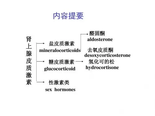 肾上腺皮质激素类药物(ww