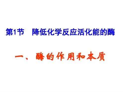 酶的作用和本质精讲