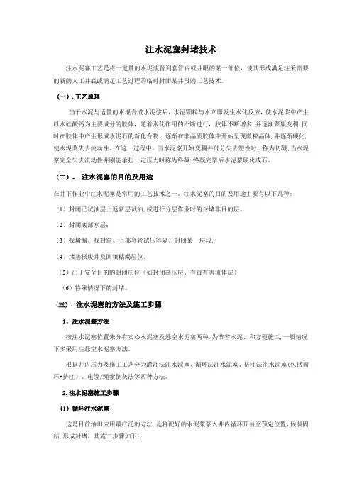 注水泥塞封堵技术