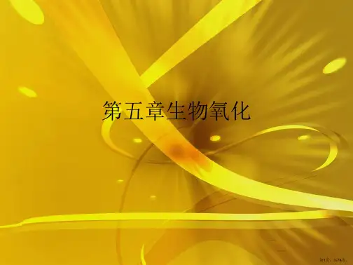 第五章生物氧化
