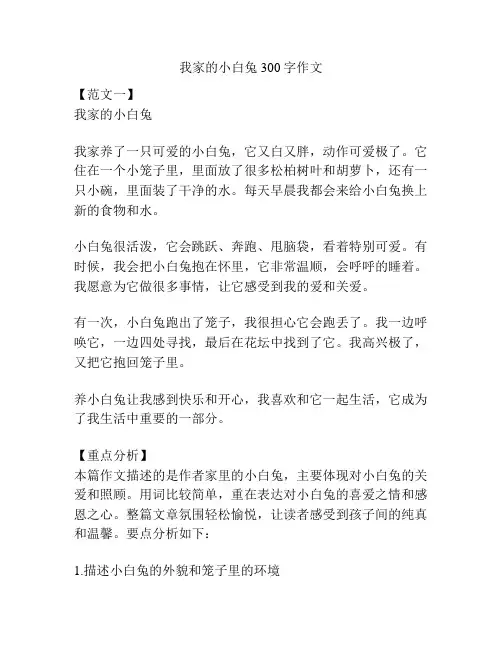 我家的小白兔300字作文