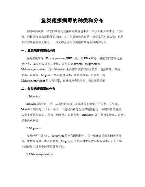 鱼类疱疹病毒的种类和分布