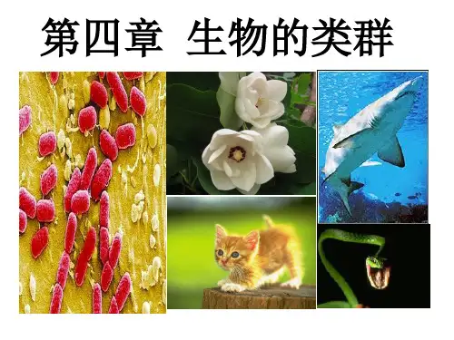 八年级生命科学上课,复习要点归纳(1)