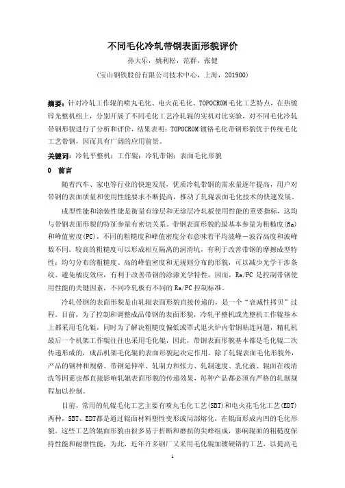 不同毛化冷轧带钢表面形貌评价