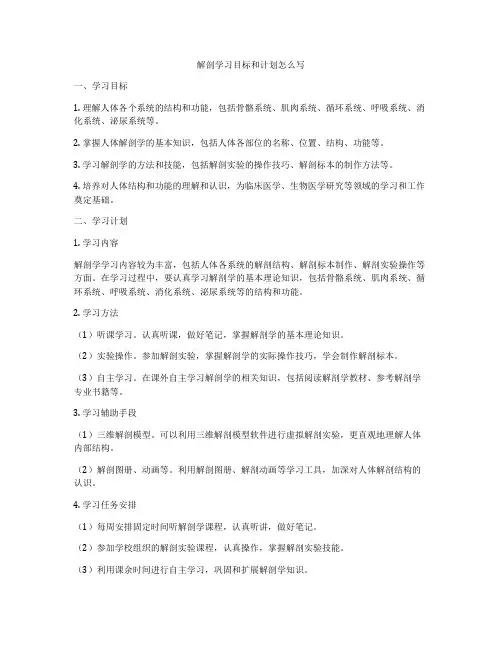 解剖学习目标和计划怎么写