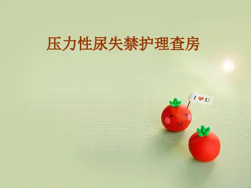 压力性尿失禁精品PPT课件