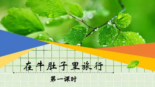 《在牛肚子里旅行》ppt课件