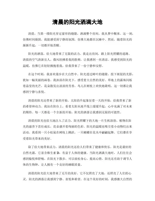 清晨的阳光洒满大地