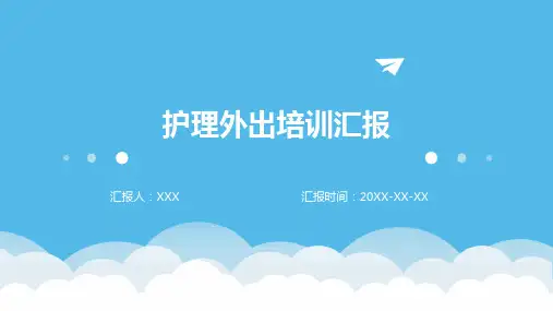 护理外出培训汇报ppt模板