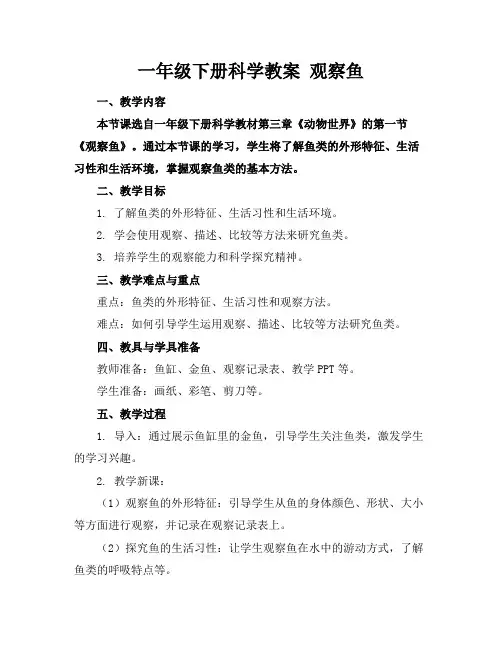 一年级下册科学教案观察鱼