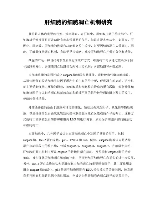 肝细胞的细胞凋亡机制研究