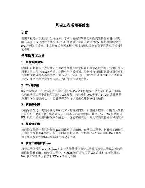基因工程所需要的酶