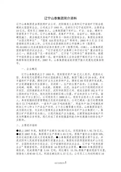 辽宁山泰集团简介资料