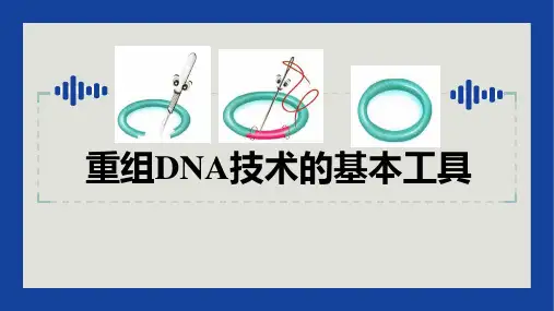 重组DNA技术的基本工具