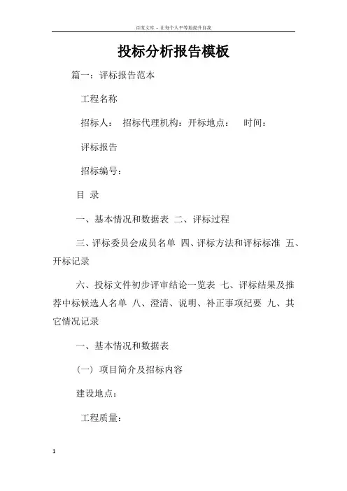 投标分析报告模板