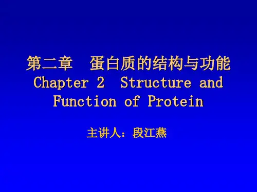 蛋白质的结构与功能