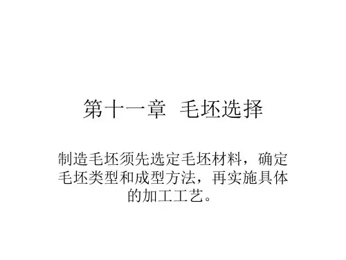 毛坯选择