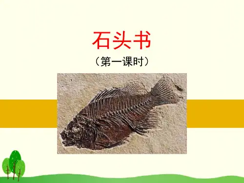 石头书-ppt优秀课件