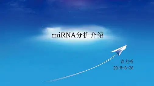 miRNA分析介绍【高通量测序】