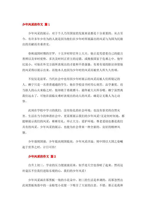 少年风采的作文 (21篇)