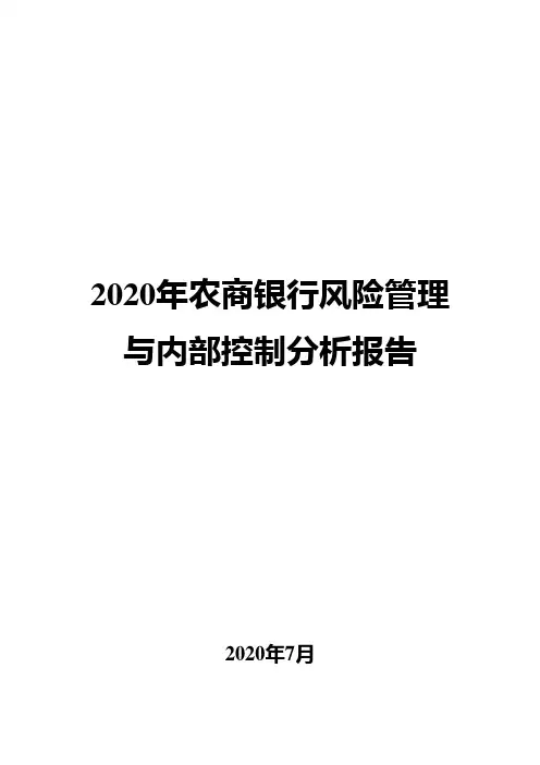 2020年农商银行风险管理与内部控制分析报告