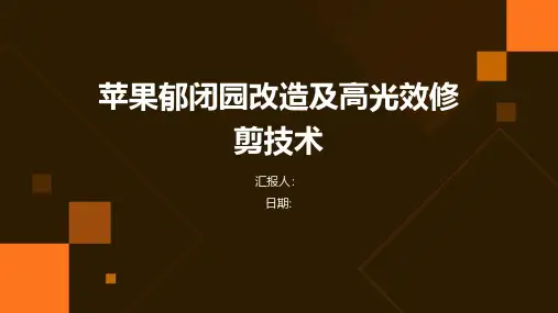 苹果郁闭园改造及高光效修剪技术