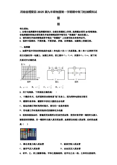 河南省博爱县2025届九年级物理第一学期期中复习检测模拟试题含解析