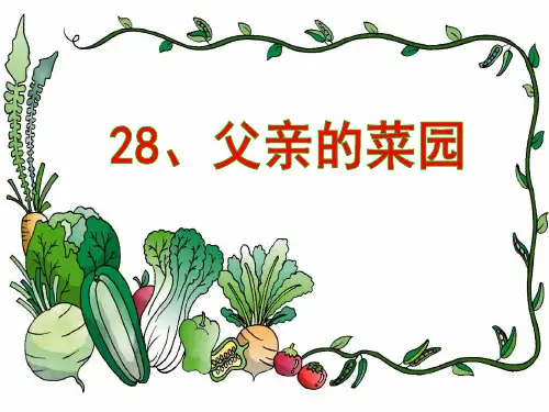 28父亲的菜园1