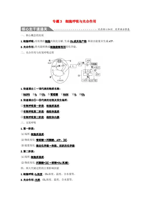2019版高考生物二轮复习 专题三 细胞呼吸与光合作用自查学案